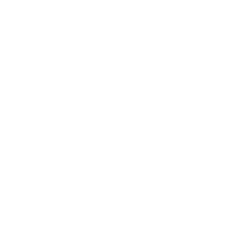 White logo -no Text